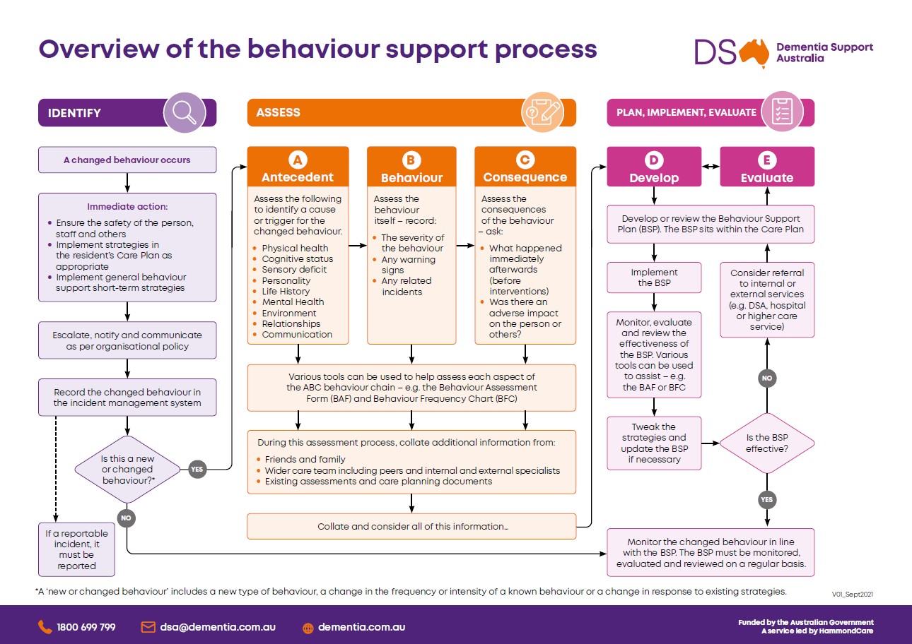 Behaviour support process flowchart